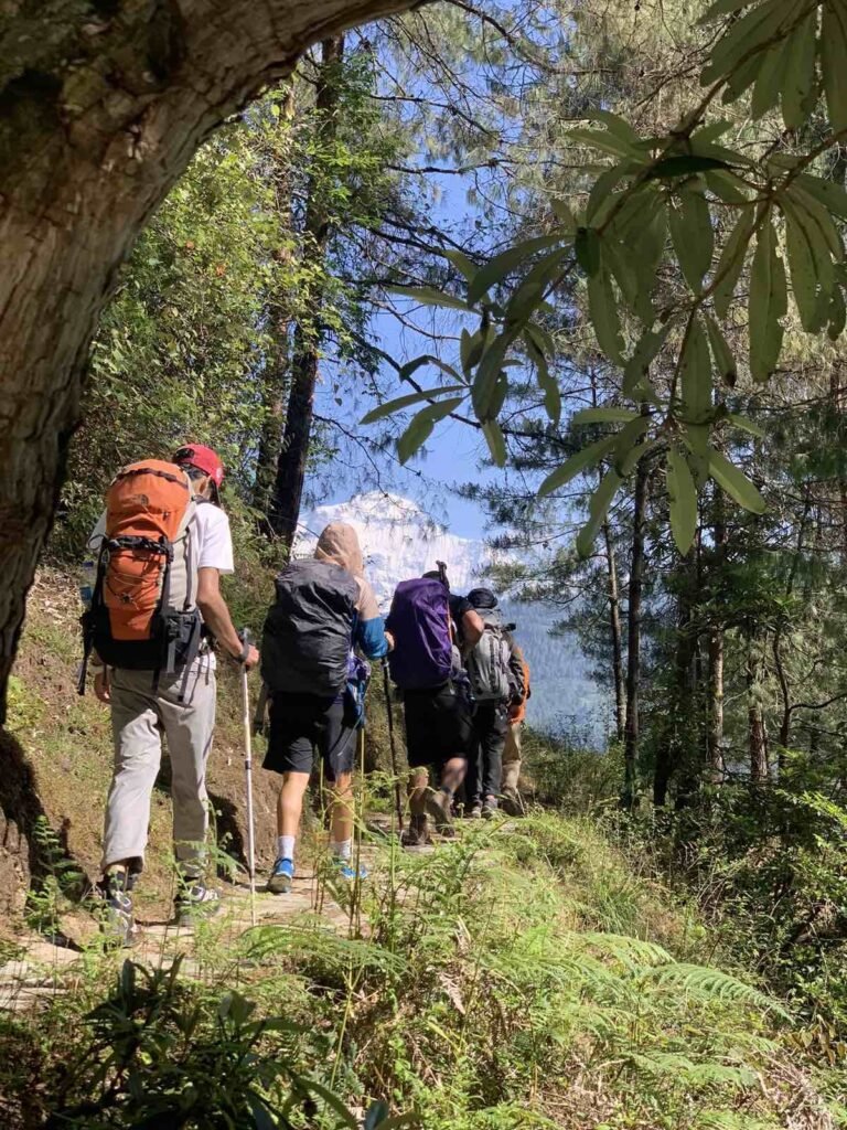 Annapurna trails